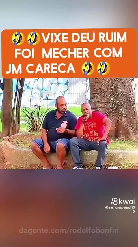 Prévia da publicação de rodolfobonfin