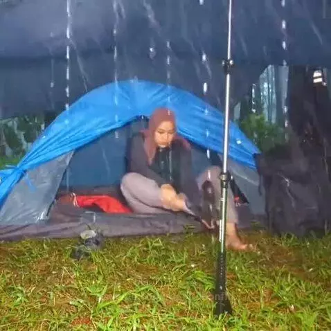 Prévia da publicação de rodolfobonfin