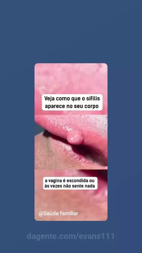 Prévia da publicação de evans111