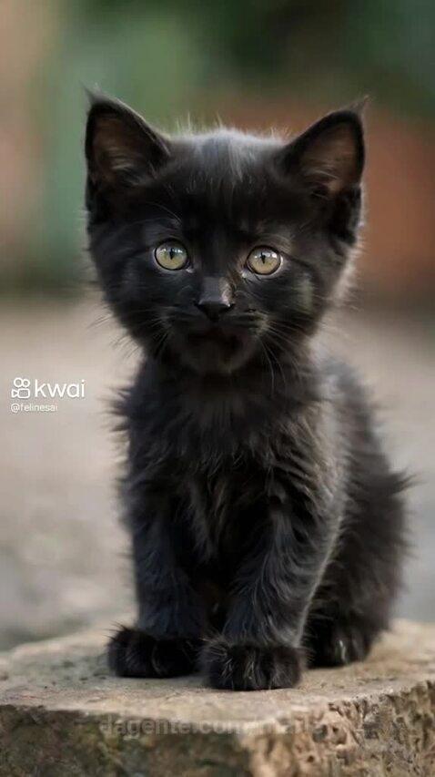 marley