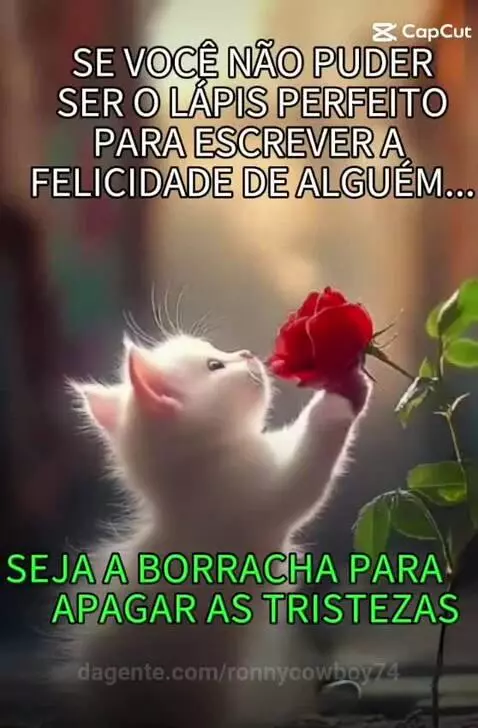 Prévia da publicação de ronnycowboy74
