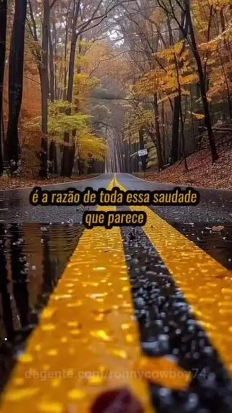 Prévia da publicação de ronnycowboy74