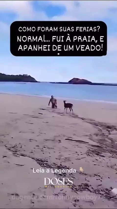 Prévia da publicação de ronnycowboy74