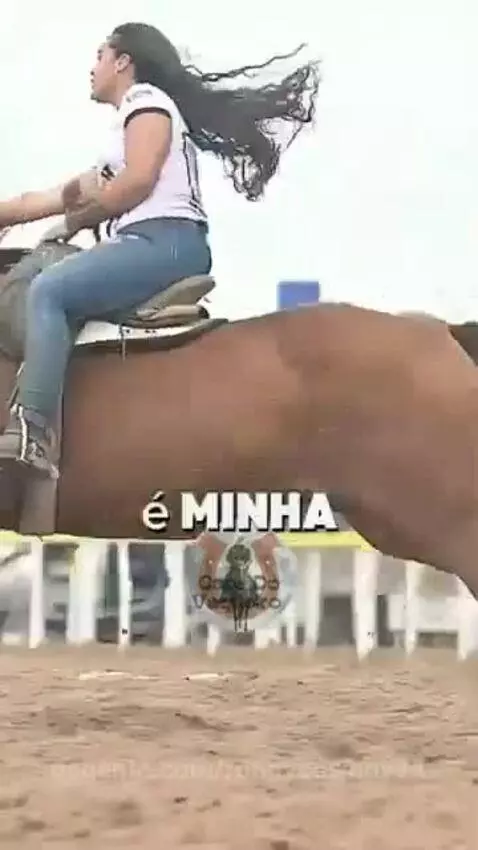 Prévia da publicação de ronnycowboy74