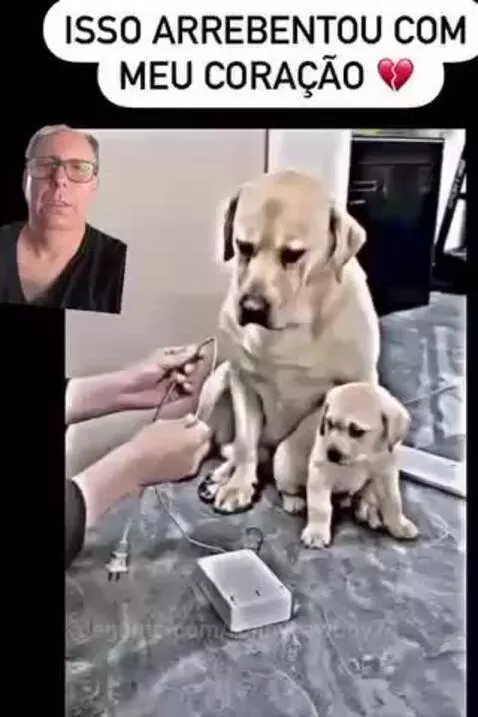 video poster