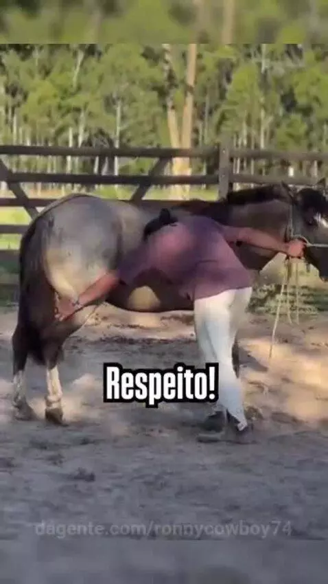ronnycowboy74