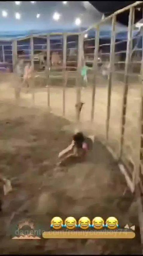 Prévia da publicação de ronnycowboy74
