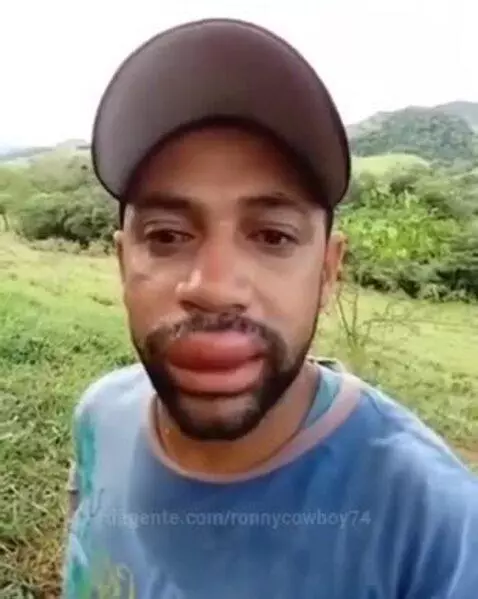 Prévia da publicação de ronnycowboy74